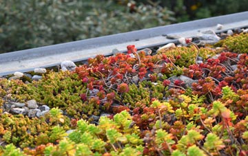 the cost of Broughton green roof installation